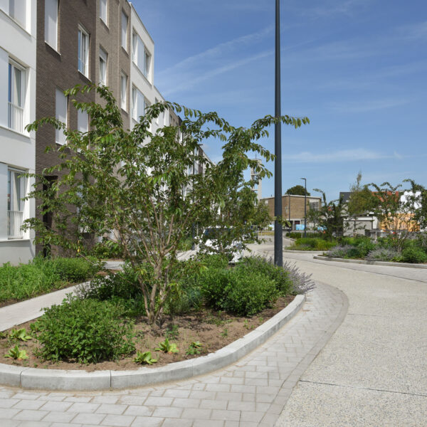 Omgevingsaanleg project Voortman10